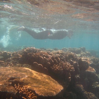 Snorkeling the GBR